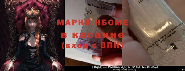 сатива Балахна