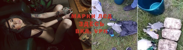 сатива Балахна