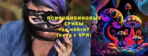 гидропоника Арсеньев